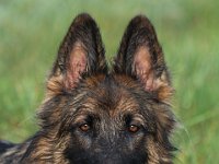 Juma  Bes.: Gabi Frei : 13. Oktober 2012